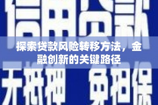 埔里探索贷款风险转移方法，金融创新的关键路径