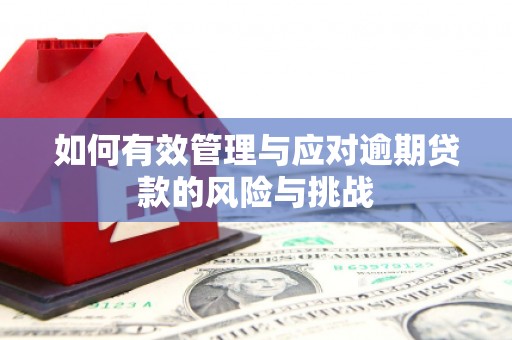 埔里如何有效管理与应对逾期贷款的风险与挑战