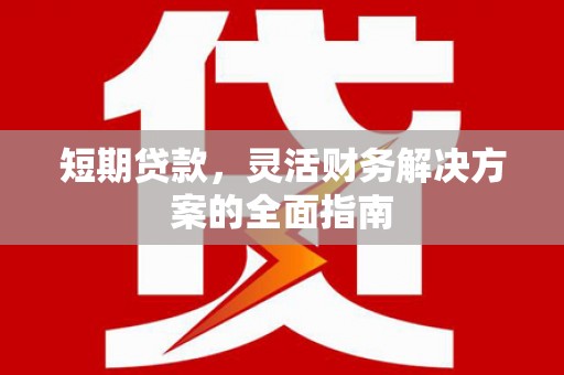 埔里短期贷款，灵活财务解决方案的全面指南