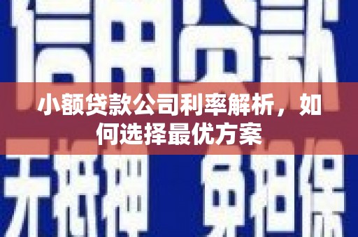 埔里小额贷款公司利率解析，如何选择最优方案