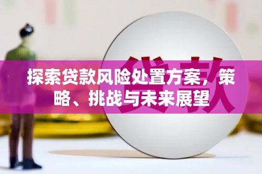 埔里探索贷款风险处置方案，策略、挑战与未来展望