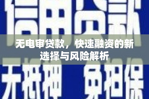 埔里无电审贷款，快速融资的新选择与风险解析