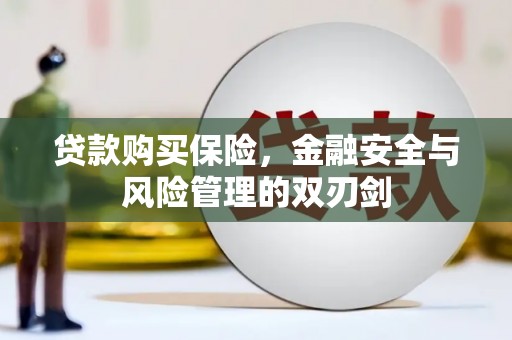 埔里贷款购买保险，金融安全与风险管理的双刃剑
