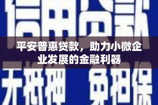 埔里平安普惠贷款，助力小微企业发展的金融利器