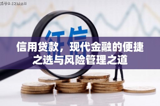 埔里信用贷款，现代金融的便捷之选与风险管理之道