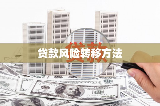 埔里贷款风险转移方法