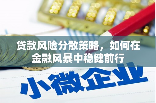 埔里贷款风险分散策略，如何在金融风暴中稳健前行