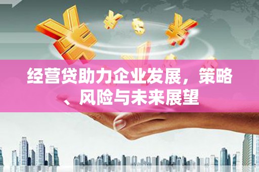 埔里经营贷助力企业发展，策略、风险与未来展望