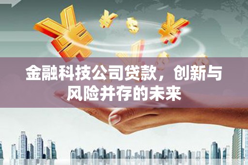 埔里金融科技公司贷款，创新与风险并存的未来