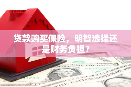 埔里贷款购买保险，明智选择还是财务负担？