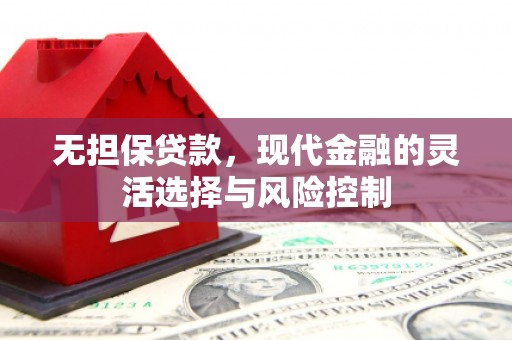 埔里无担保贷款，现代金融的灵活选择与风险控制