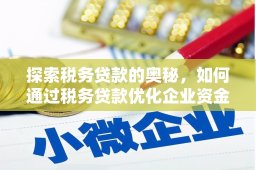 埔里探索税务贷款的奥秘，如何通过税务贷款优化企业资金流