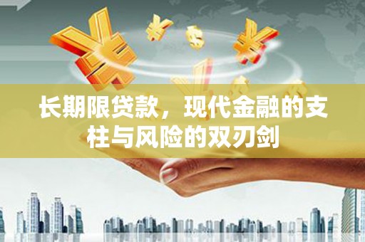 埔里长期限贷款，现代金融的支柱与风险的双刃剑