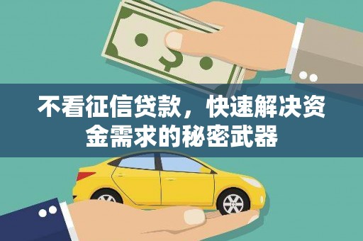 埔里不看征信贷款，快速解决资金需求的秘密武器