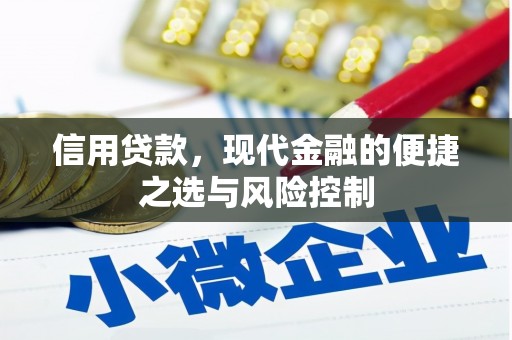 埔里信用贷款，现代金融的便捷之选与风险控制