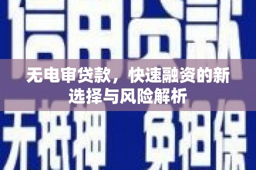 埔里无电审贷款，快速融资的新选择与风险解析