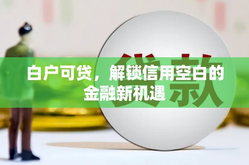埔里白户可贷，解锁信用空白的金融新机遇