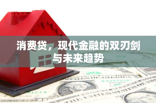 埔里消费贷，现代金融的双刃剑与未来趋势