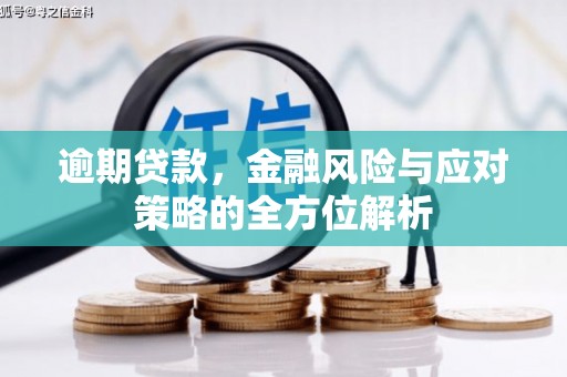 埔里逾期贷款，金融风险与应对策略的全方位解析