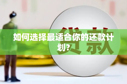 埔里如何选择最适合你的还款计划？