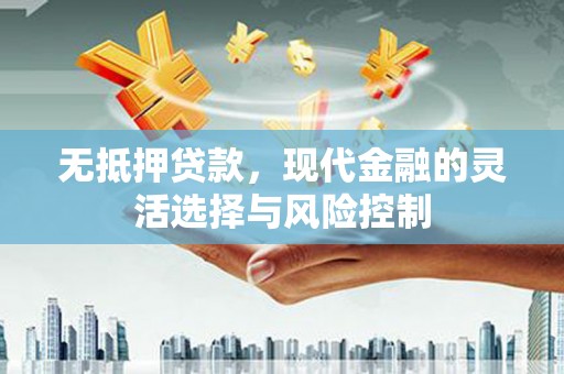 埔里无抵押贷款，现代金融的灵活选择与风险控制