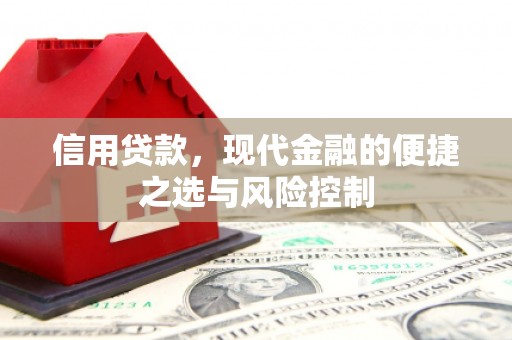 埔里信用贷款，现代金融的便捷之选与风险控制