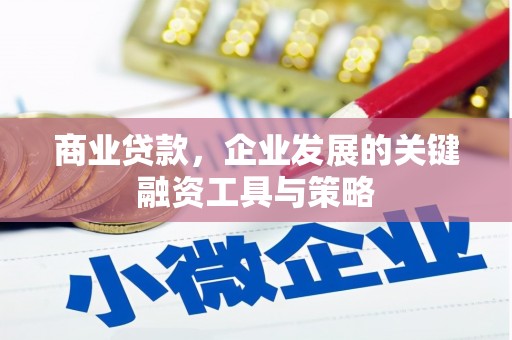 埔里商业贷款，企业发展的关键融资工具与策略