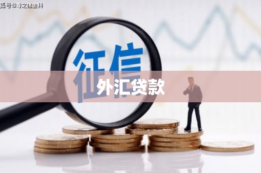 埔里外汇贷款