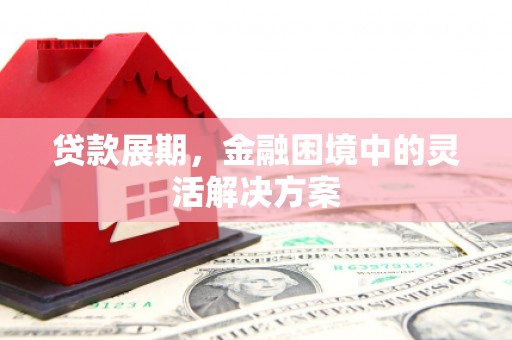 埔里贷款展期，金融困境中的灵活解决方案