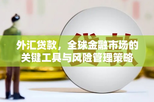 埔里外汇贷款，全球金融市场的关键工具与风险管理策略