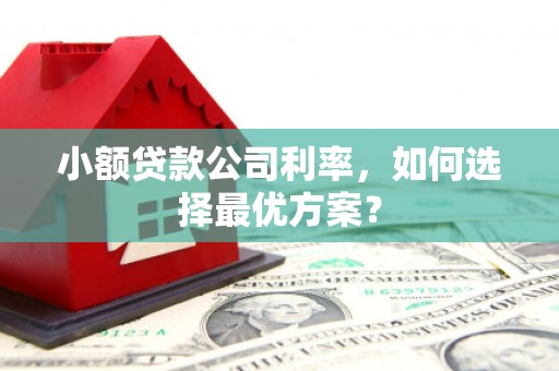 埔里小额贷款公司利率，如何选择最优方案？