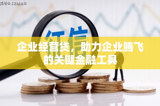 埔里企业经营贷，助力企业腾飞的关键金融工具