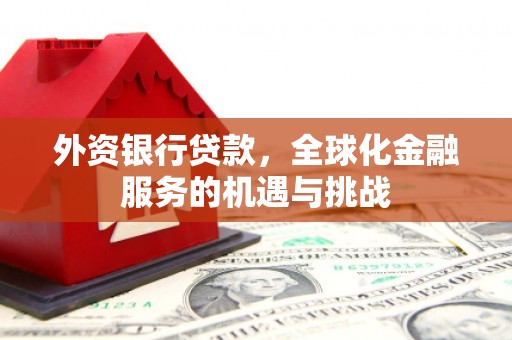 埔里外资银行贷款，全球化金融服务的机遇与挑战