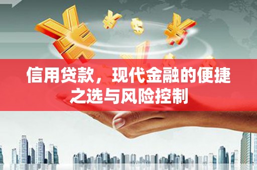 埔里信用贷款，现代金融的便捷之选与风险控制