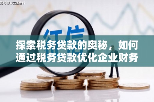 埔里探索税务贷款的奥秘，如何通过税务贷款优化企业财务