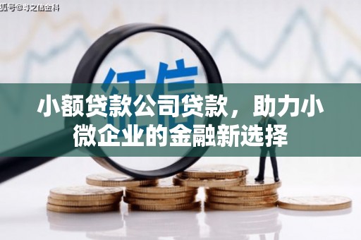埔里小额贷款公司贷款，助力小微企业的金融新选择