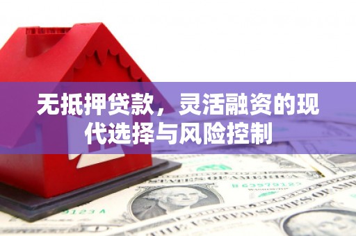 埔里无抵押贷款，灵活融资的现代选择与风险控制