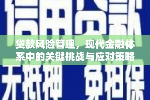 埔里贷款风险管理，现代金融体系中的关键挑战与应对策略