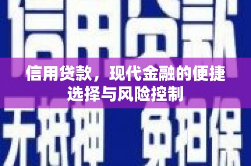 埔里信用贷款，现代金融的便捷选择与风险控制