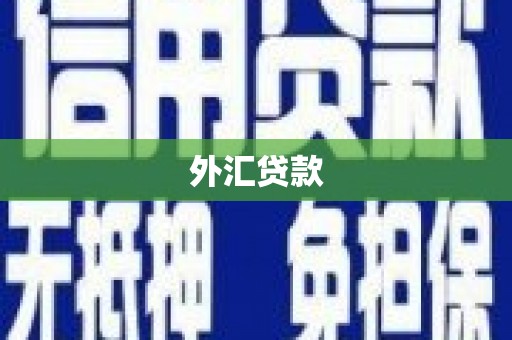 埔里外汇贷款