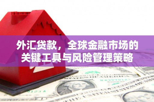 埔里外汇贷款，全球金融市场的关键工具与风险管理策略