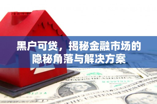 埔里黑户可贷，揭秘金融市场的隐秘角落与解决方案
