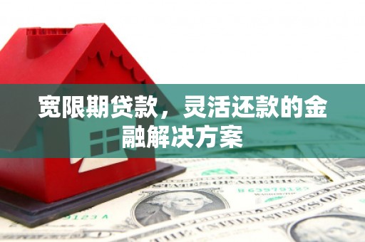 埔里宽限期贷款，灵活还款的金融解决方案