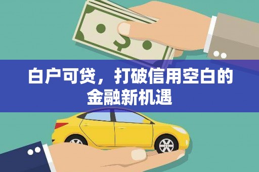 埔里白户可贷，打破信用空白的金融新机遇