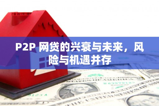 埔里P2P 网贷的兴衰与未来，风险与机遇并存