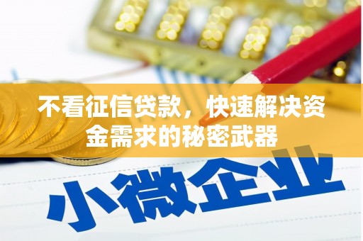 埔里不看征信贷款，快速解决资金需求的秘密武器