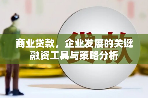 埔里商业贷款，企业发展的关键融资工具与策略分析