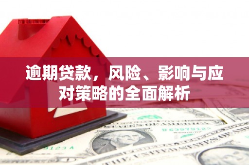 埔里逾期贷款，风险、影响与应对策略的全面解析