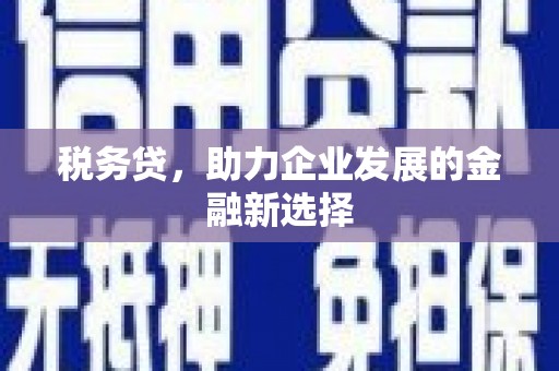 埔里税务贷，助力企业发展的金融新选择