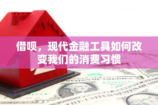 埔里借呗，现代金融工具如何改变我们的消费习惯
